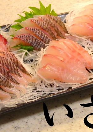 おウチで簡単・イサキのお刺身【動画あり】-レシピのメイン写真