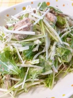 簡単♪鯖缶&水菜・新玉混ぜ混ぜサラダ-レシピのメイン写真