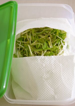 鮮度長持ち＊水菜の保存法＊-レシピのメイン写真