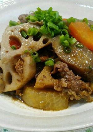牛こま肉と根菜のオイスターソース煮★-レシピのメイン写真