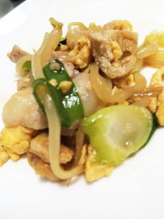 オイスターソースで肉野菜炒め-レシピのメイン写真