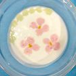 ブルガリアヨーグルトで遊ぼう!!春!