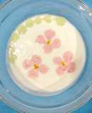 ブルガリアヨーグルトで遊ぼう！！春！