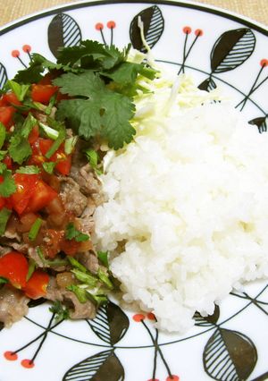 ブラジル風仔羊肉丼-レシピのメイン写真