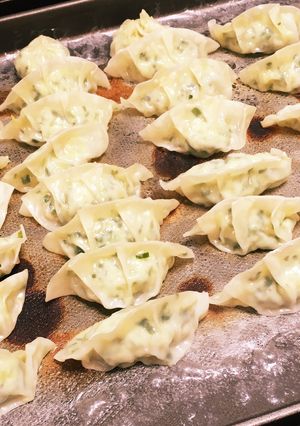 子供に野菜を食べさせる餃子-レシピのメイン写真