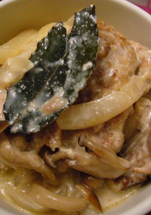 豚ヒレのクリーム煮-レシピのメイン写真