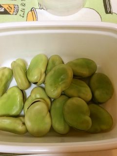 季節のそら豆、茹でるだけ-レシピのメイン写真