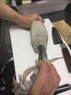 いかの下処理-レシピのメイン写真