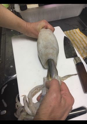 いかの下処理-レシピのメイン写真