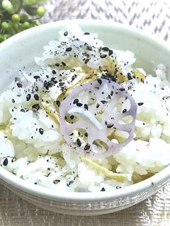 蓮根としらすの炊き込みご飯-レシピのメイン写真