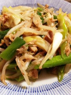 長ネギ*モヤシ*ツナの焼肉のタレ炒め-レシピのメイン写真