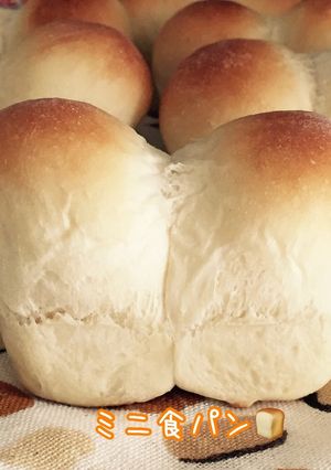 ◉◉ミニ食パン◉◉-レシピのメイン写真