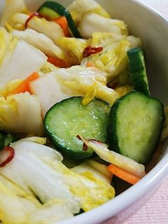 白菜とキュウリの即席漬-レシピのメイン写真