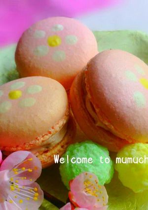 お雛様や卒業に♡甘酸っぱい花マカロン-レシピのメイン写真