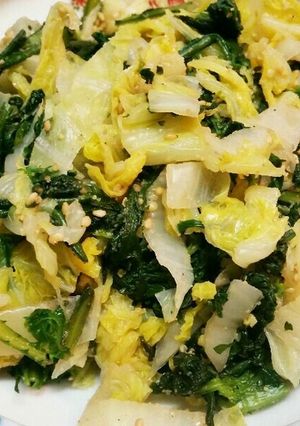春菊と白菜の胡麻和え(*^ω^*)-レシピのメイン写真