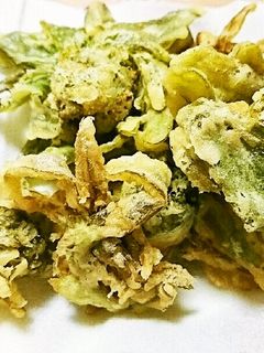 ふきのとうの天ぷら-レシピのメイン写真