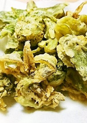 ふきのとうの天ぷら-レシピのメイン写真