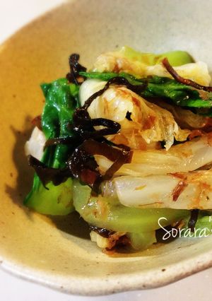レンジでチン♡はくさいのおかか塩昆布和え-レシピのメイン写真