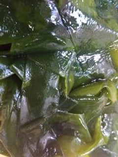 わかめの茹で方-レシピのメイン写真