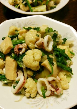 イカとカリフラワーと高野豆腐の中華旨煮-レシピのメイン写真