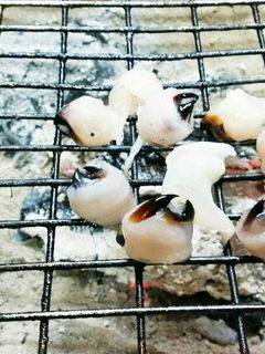 イカの口の塩焼き(*^ω^*)-レシピのメイン写真