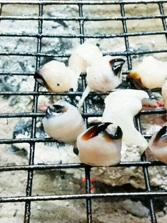 イカの口の塩焼き(*^ω^*)-レシピのメイン写真