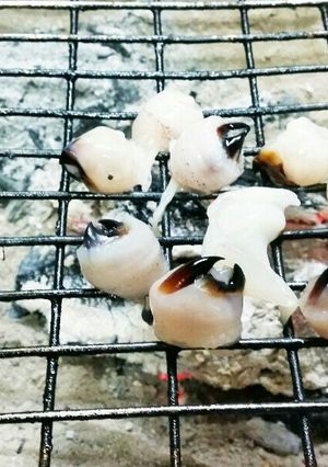 イカの口の塩焼き(*^ω^*)-レシピのメイン写真