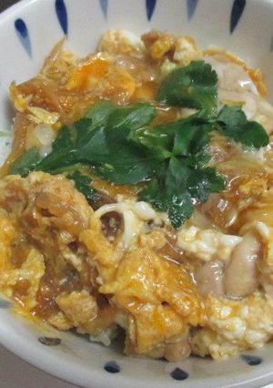 簡単♪新玉ねぎで「親子丼」♡-レシピのメイン写真
