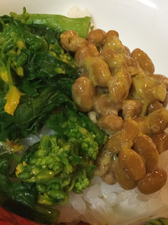 納豆と菜の花のおひたしのご飯-レシピのメイン写真