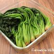 【茹で置き野菜】ほうれん草
