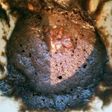 生チョコ風!カップケーキ 飲むココアで!