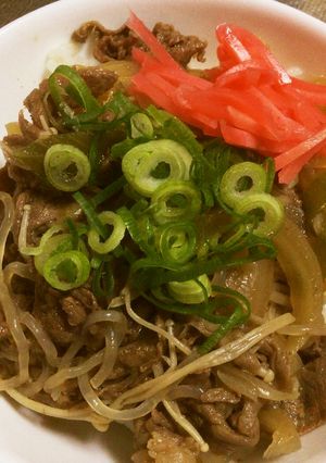 秘伝、本当に美味しい牛丼がこれだ〜！-レシピのメイン写真