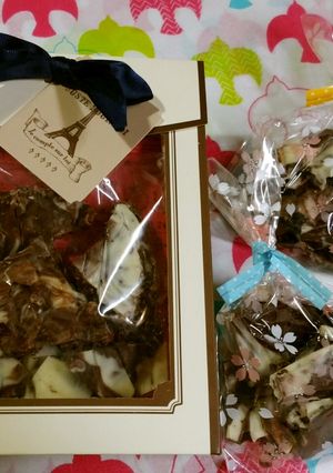 クランベリーチョコ-レシピのメイン写真