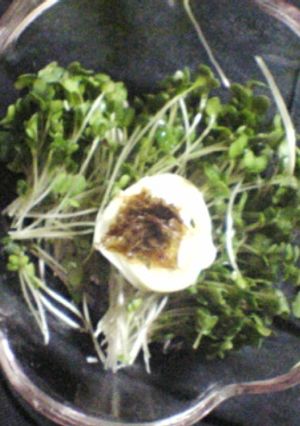 【簡単】ブロッコリーの芽サラダ-レシピのメイン写真