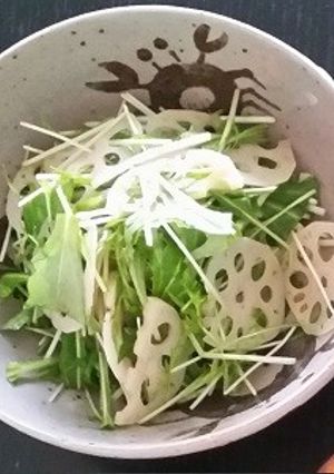 れんこんと水菜のじゃこサラダ-レシピのメイン写真
