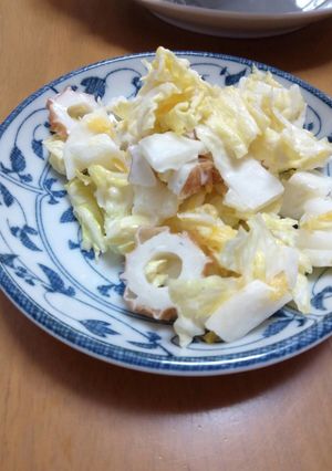 果汁絞り後にできる伊予かんと白菜のサラダ-レシピのメイン写真