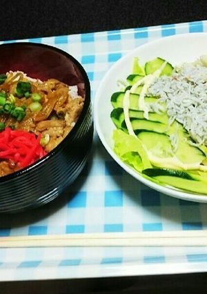 豚こま丼しらすサラダセット-レシピのメイン写真