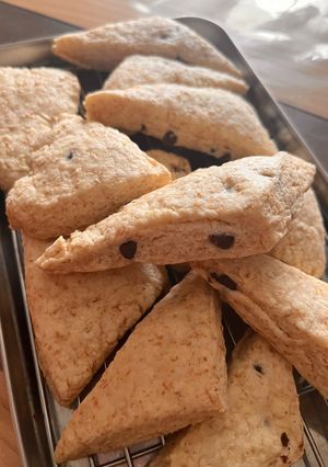 全粒粉のチョコチップスコーン-レシピのメイン写真
