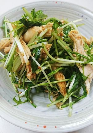 水菜とむね肉のシャキシャキピリ辛サラダ☆-レシピのメイン写真