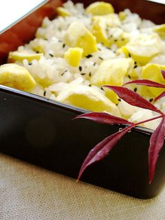 栗ご飯-レシピのメイン写真