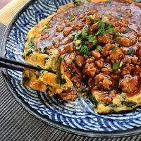 基本からアレンジまで！思わずつくりたくなる「ニラ玉 あんかけ 簡単