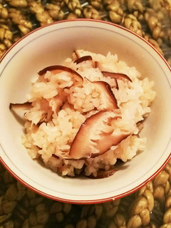 はんなり京風 椎茸ごはん-レシピのメイン写真