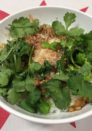 我が家のパクチーｄｅ温玉納豆丼-レシピのメイン写真