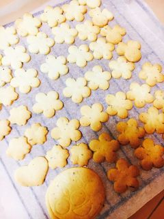 サクサク型抜きクッキー-レシピのメイン写真