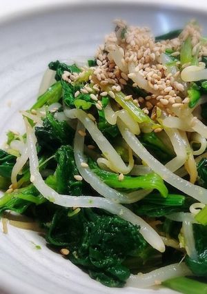 おつまみに法蓮草とモヤシの生姜醤油和え☆-レシピのメイン写真