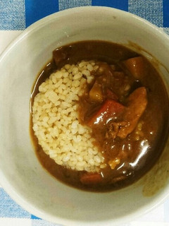 ささみヨーグルトカレー-レシピのメイン写真