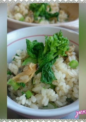 ＊土鍋であさりと菜の花ご飯＊-レシピのメイン写真