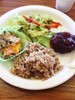 重ね煮の煮込みハンバーグ-レシピのメイン写真