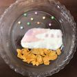 着色料無 簡単 新幹線 ヨーグルトアート