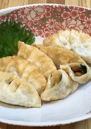 パリパリ・ネバネバ！納豆餃子揚げ-レシピのメイン写真